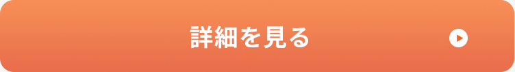 詳細を見る
